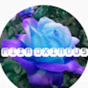 Meet your Posher, Miia